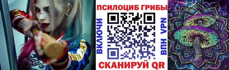купить  цена  Иноземцево  Псилоцибиновые грибы мухоморы 